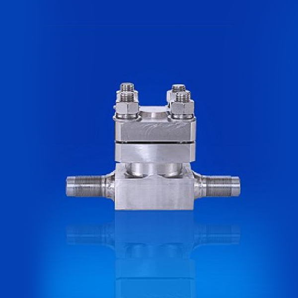  Low temperature and high pressure check valve